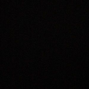 Meet your Posher, Reginald